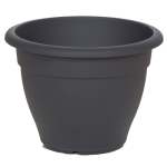 anthraki-500x500_1347158314