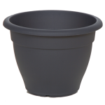 anthraki-500x500_1643913103