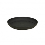 anthraki-500x500_239618547