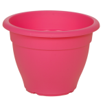 fouksia-500x500_359866013