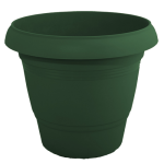 kypparissii-500x500_51178584