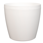 lefko-500x500_410698957