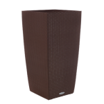 sokola-500x500_578428092