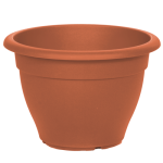 terakota-500x5001_276774877