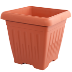 terakota-500x500_1770883687