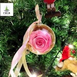 265706007_4224923800947111_2207992887596567649_n