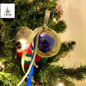 265743224_4224924167613741_7268812570368876965_n