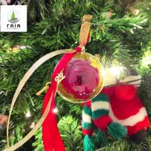 265825841_4224924427613715_1681325420555421588_n