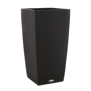 anthraki-500x500_270296224