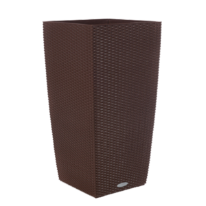 sokola-500x500_1925053034